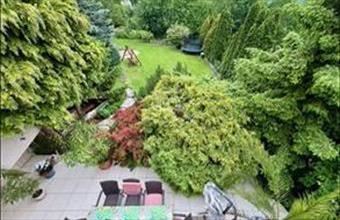 Eladó Szentendrei családi ház hirdetés (43338143)