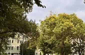 Eladó Budapest XVIII. kerületi csúsztatott zsalus lakás hirdetés (75733446)