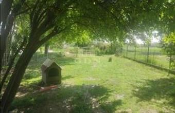 Eladó Szigetújfalui lakóövezeti telek hirdetés (57793299)