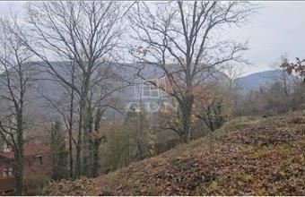 Eladó Csobánkai családi ház hirdetés (31874457)