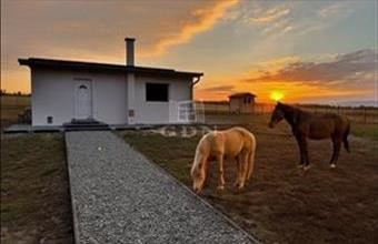 Eladó Váchartyáni családi ház hirdetés (33454335)