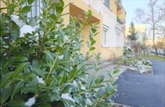 Kiadó Zalaegerszegi tégla lakás hirdetés (38487384)