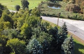 Eladó Bábolnai telephely hirdetés (59913427)