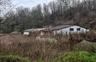 Kiadó Péceli lakóövezeti telek hirdetés (32979832)