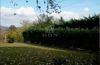 Eladó Solymári lakóövezeti telek hirdetés (96179233)