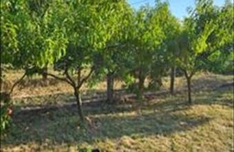 Eladó Kaposvári egyéb mezőgazdasági ingatlan hirdetés (35472634)