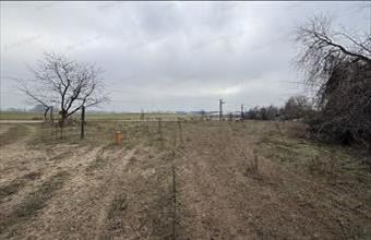 Eladó Dunaharaszti lakóövezeti telek hirdetés (43264774)