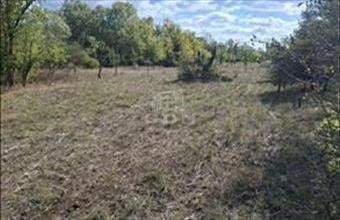 Eladó Kerekegyházai termőföld, szántó hirdetés (34747359)