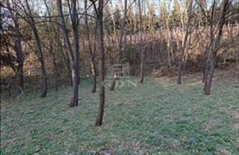 Eladó Veresegyházi lakóövezeti telek hirdetés (24975473)