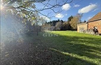 Eladó Teskándi családi ház hirdetés (47534473)