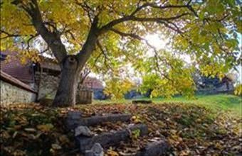 Eladó Pécselyi családi ház hirdetés (53929633)