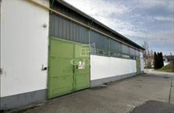 Kiadó Váci raktár hirdetés (55454427)