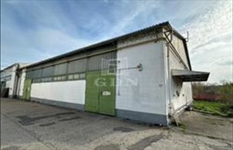 Kiadó Váci raktár hirdetés (55454427)