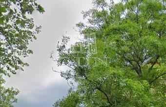 Eladó Budapest XIV. kerületi tégla lakás hirdetés (67739922)