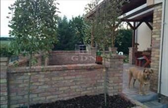 Eladó Szigethalomi családi ház hirdetés (62535733)