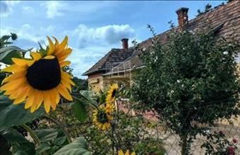 Eladó Somogyszentpáli családi ház hirdetés (57633453)