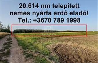 Eladó Hajdúnánási termőföld, szántó hirdetés (71544424)