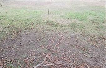 Eladó Bajai egyéb telek hirdetés (22744634)