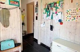 Eladó Szigethalomi tanya hirdetés (86667847)