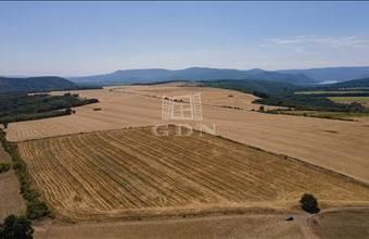 Eladó Szokolyai lakóövezeti telek hirdetés (49173343)