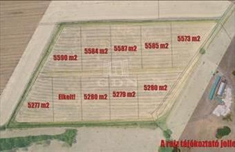 Eladó Szokolyai lakóövezeti telek hirdetés (49173343)