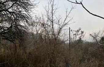 Eladó Budaörsi lakóövezeti telek hirdetés (74575574)