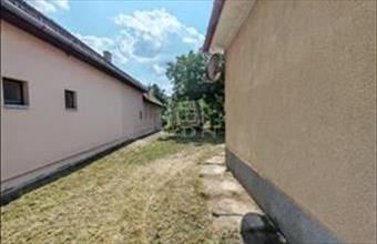 Eladó Vecsési családi ház hirdetés (64396458)