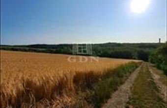 Eladó Balatonkenesei hétvégi ház hirdetés (37952231)