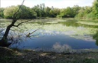 Eladó Püspökmolnári termőföld, szántó hirdetés (41773532)