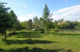 Eladó Püspökmolnári lakóövezeti telek hirdetés (54429561)