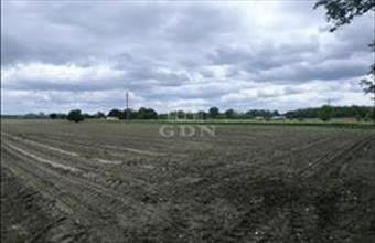 Eladó Pócsmegyeri termőföld, szántó hirdetés (43328382)