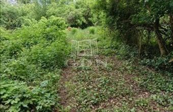 Eladó Biatorbágyi üdülőövezeti telek hirdetés (56786797)