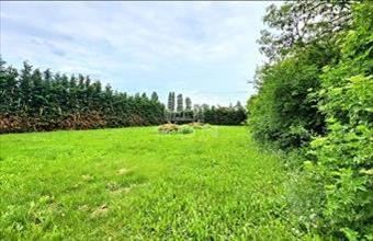 Eladó Érdi családi ház hirdetés (33982331)