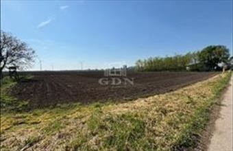 Eladó Kisigmándi lakóövezeti telek hirdetés (96295824)