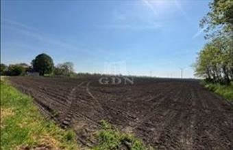 Eladó Kisigmándi lakóövezeti telek hirdetés (42328344)