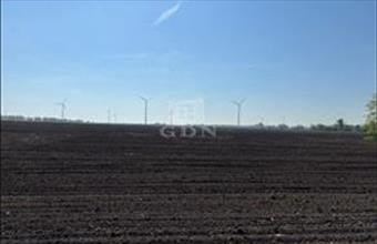 Eladó Kisigmándi lakóövezeti telek hirdetés (91445381)