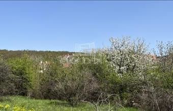 Eladó Budakeszi lakóövezeti telek hirdetés (77489154)