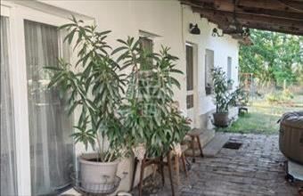 Eladó Kisteleki tanya hirdetés (92522464)