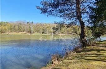 Eladó Hegyhátszentjakabi étterem, vendéglő hirdetés (65324953)