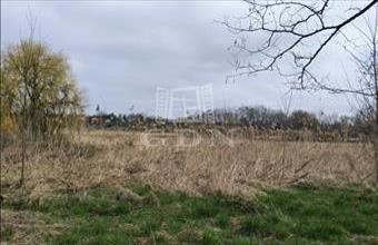 Eladó Gödi termőföld, szántó hirdetés (48272573)