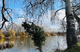 Eladó Szigetcsépi üdülőövezeti telek hirdetés (53537458)