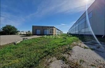 Eladó Kisapostagi raktár hirdetés (88443334)