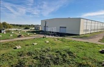 Kiadó Kisapostagi raktár hirdetés (89555293)