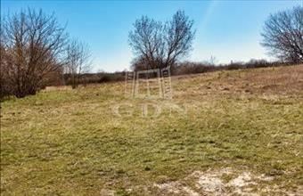 Eladó Budapest X. kerületi termőföld, szántó hirdetés (32784323)