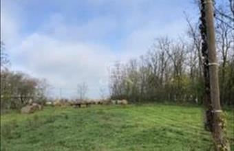 Eladó Kiskunlacházai lakóövezeti telek hirdetés (47774498)