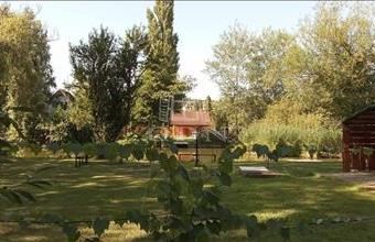 Eladó Vácegresi családi ház hirdetés (95859529)