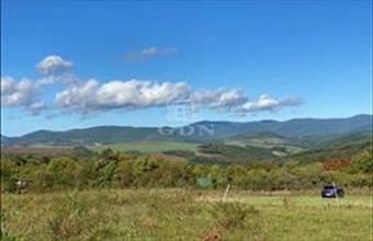 Eladó Verőcei lakóövezeti telek hirdetés (43452337)