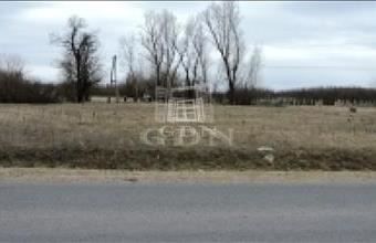 Eladó Kiskunmajsai tanya hirdetés (43562348)