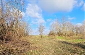 Eladó Zalavégi lakóövezeti telek hirdetés (58372124)