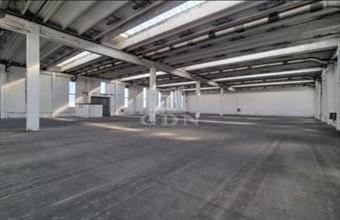 Kiadó Székesfehérvári raktár hirdetés (33684457)